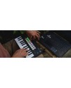 Novation launchkey mini MKIII MIDI 控制器 Novation launchkey mini MKIII MIDI 控制器